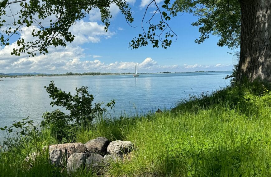 Skogsvägen – tomt 2, Sandbergen