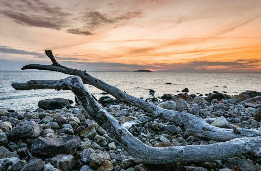 Byggklara tomter Böda, Borgholm, Öland. Bygg valfritt hus själv eller inflyttningsklart.